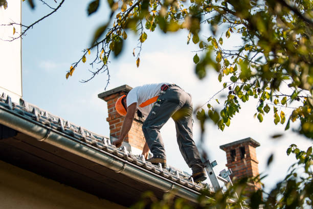 Quick and Trustworthy Emergency Roof Repair Services in Lewisville, TX